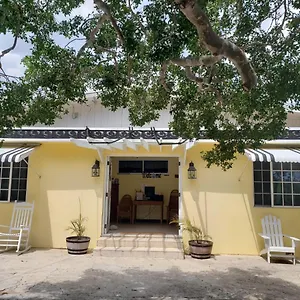 And Bar , Treasure Beach Jamaica